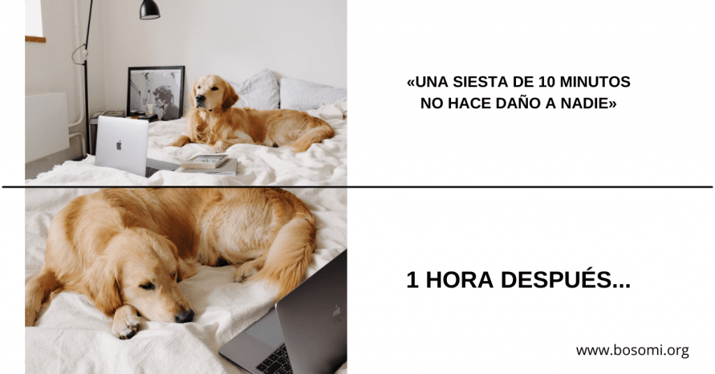 consejos para evitar siestas largas y dormir mejor